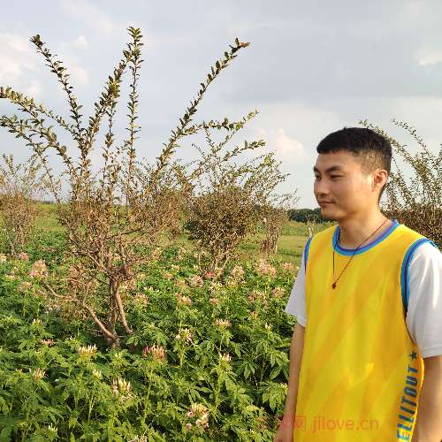 37岁岁广东单身帅哥 - 伊犁哈萨克吉缘网